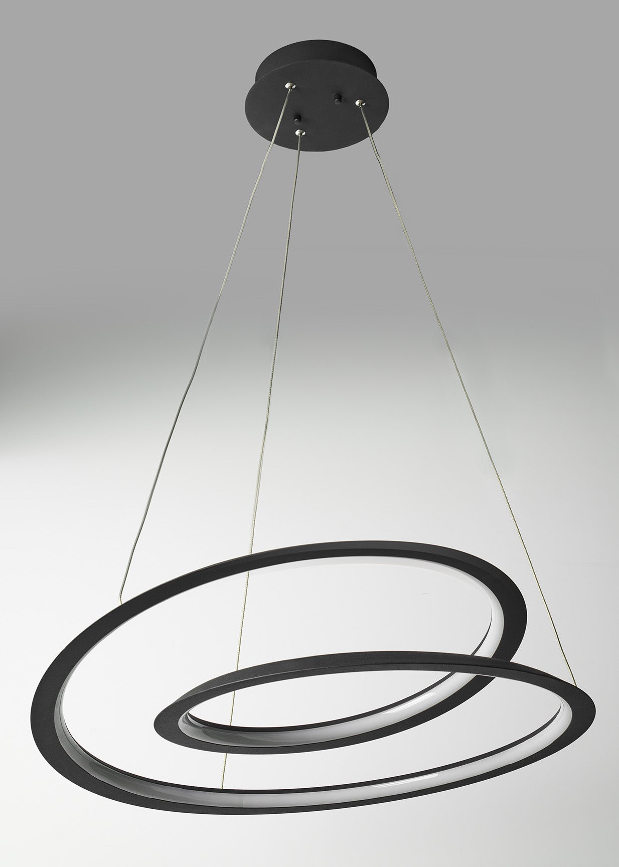 Spiralis