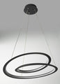 Spiralis