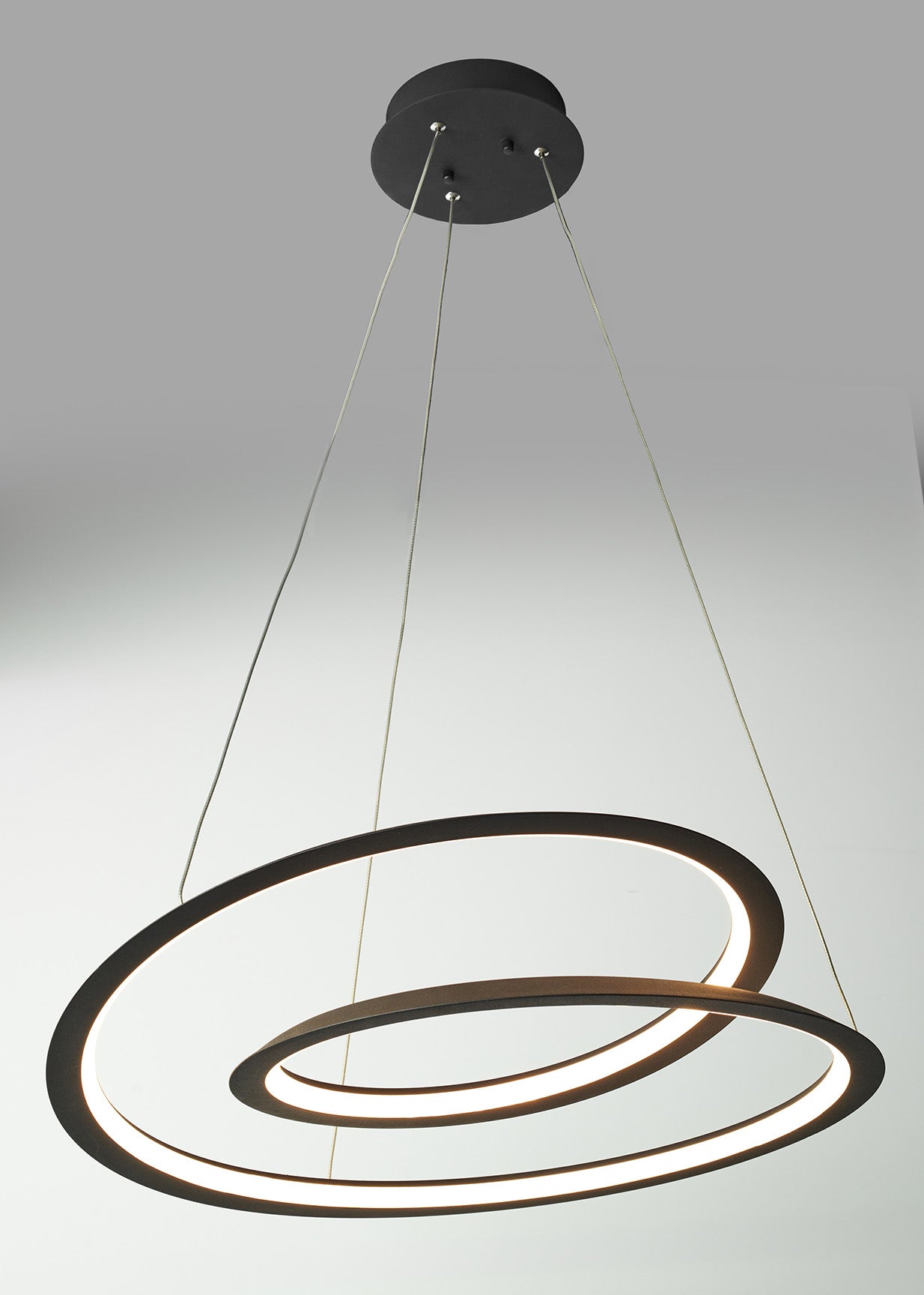 Spiralis