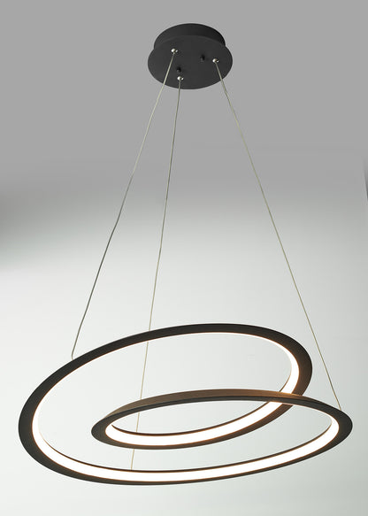 Spiralis