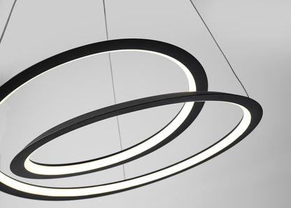 Spiralis
